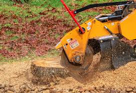 Soil Testing and Treatment in Mount Hore, WI